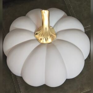 BNWT Ceramic Hollow Gray Pumpkin W/ Golden Stem 8 X 8. (2) Available Priced Sep.